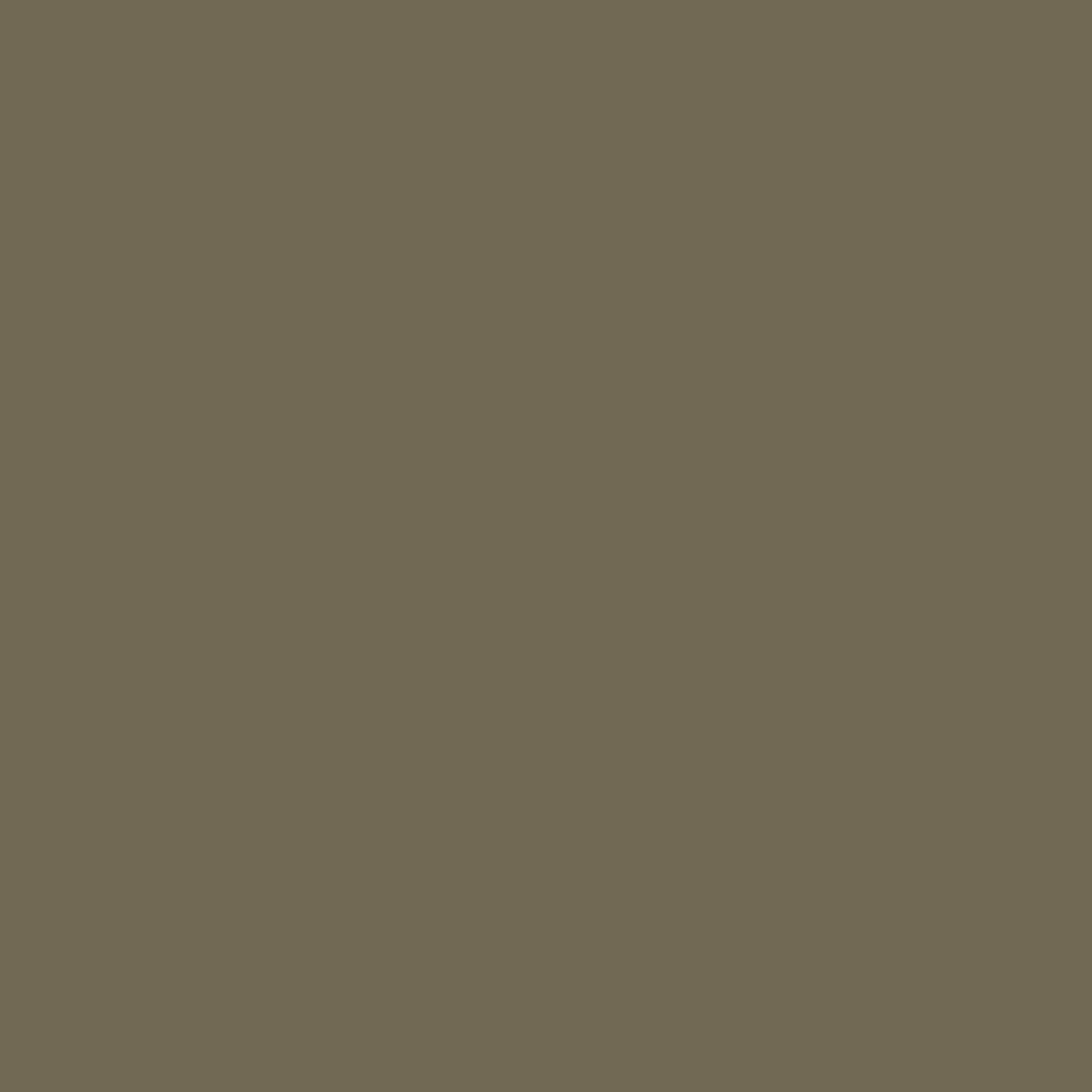 Olive high-gloss finish swatch